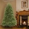 7.5ft. Unlit Dunhill® Fir Full Artificial Christmas Tree